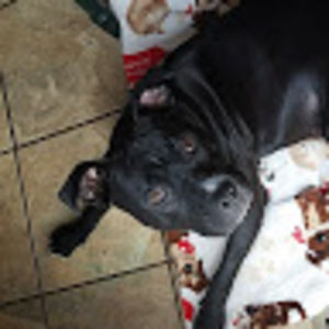 Meet your Posher, Kiki